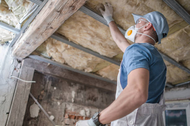 Best Blown-in Insulation in Window Rock, AZ